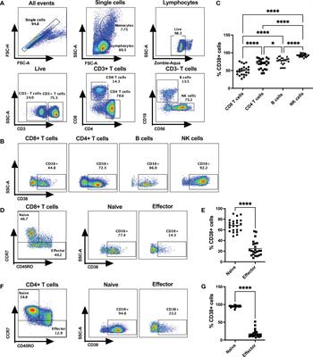 CD38: an ecto-enzyme with functional diversity in T cells